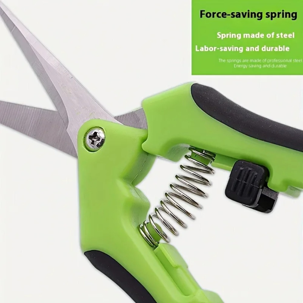 Gardening Tools Used - ステンレス鋼の剪定鋏、果樹やブドウのつるに使用する庭用花木剪定ツール
