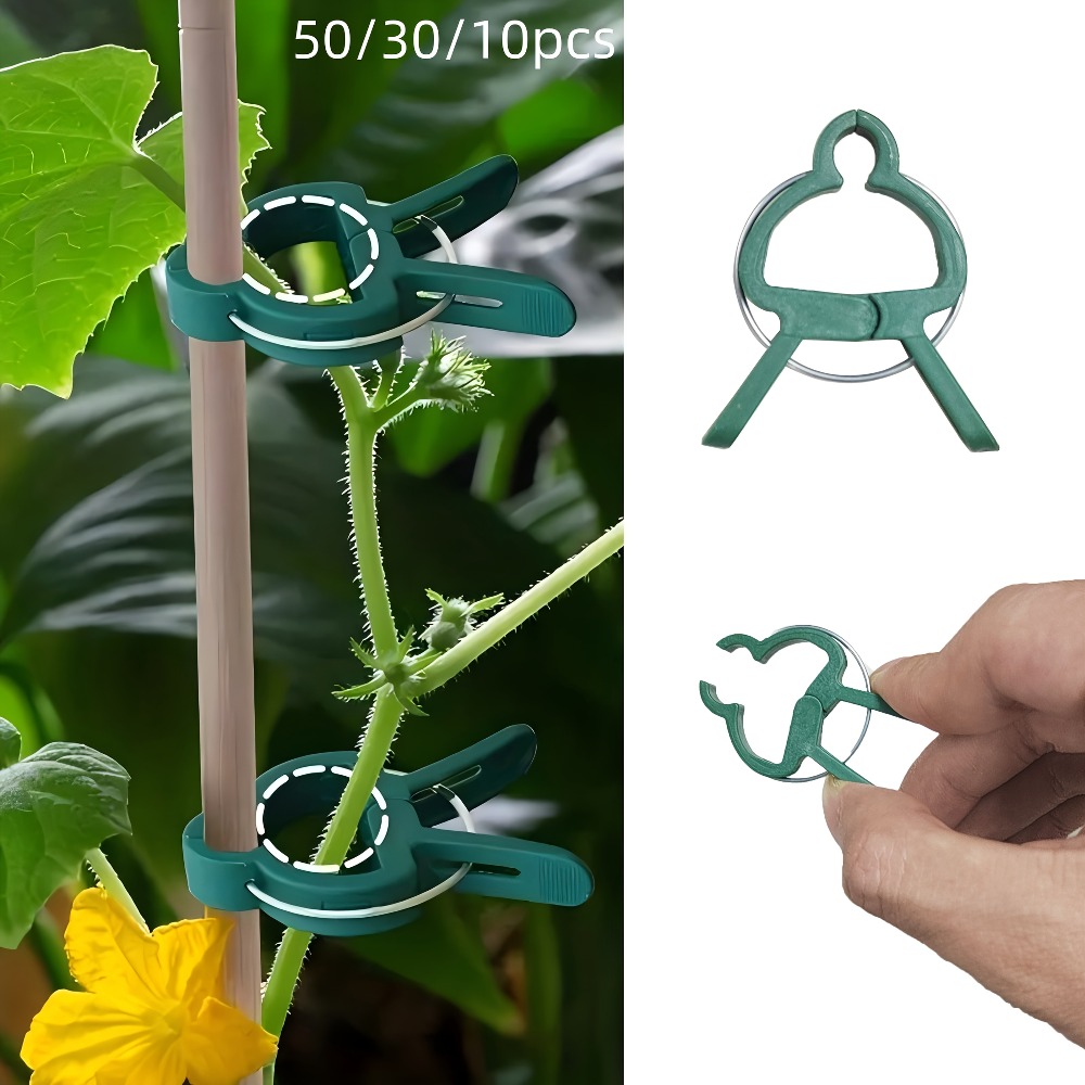 Essential Gardening Tools - 10/30/50個入り調整可能な植物クリップ - 花、蔓、野菜、トマト用の再利用可能な園芸サポート具 - 必須の園芸ツール
