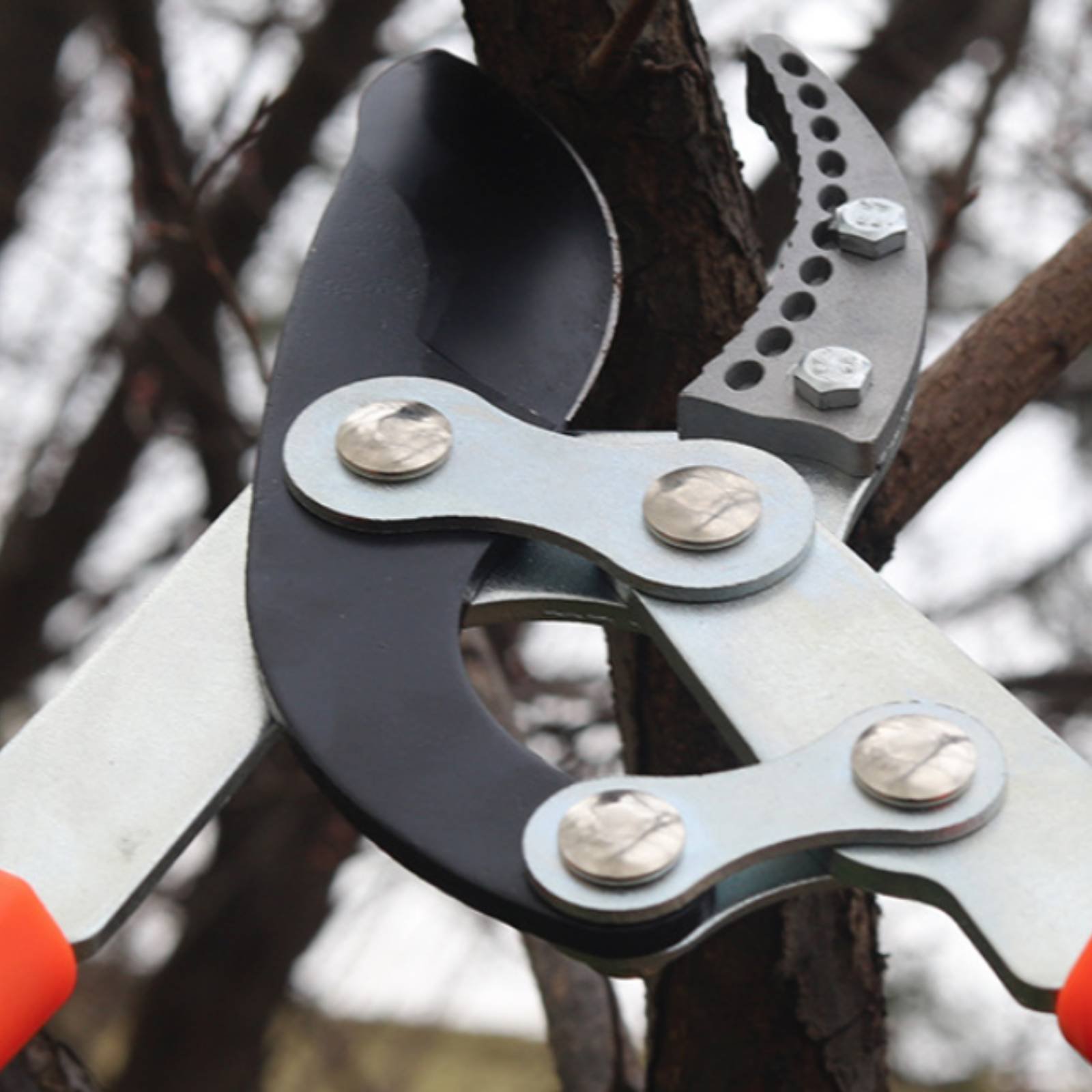 Gardening Tools - 伸縮式枝切り鋏 シャープブレード 頑丈な木剪定鋏 剪定鋏 快適なグリップ ガーデニングツール
