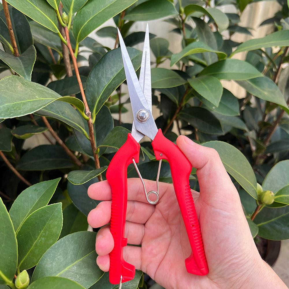 Essential Gardening Tools - プロガーデン剪定鋏 延長型木花鋏 手動盆栽鋏 剪定鋏 スタンダードオレンジ