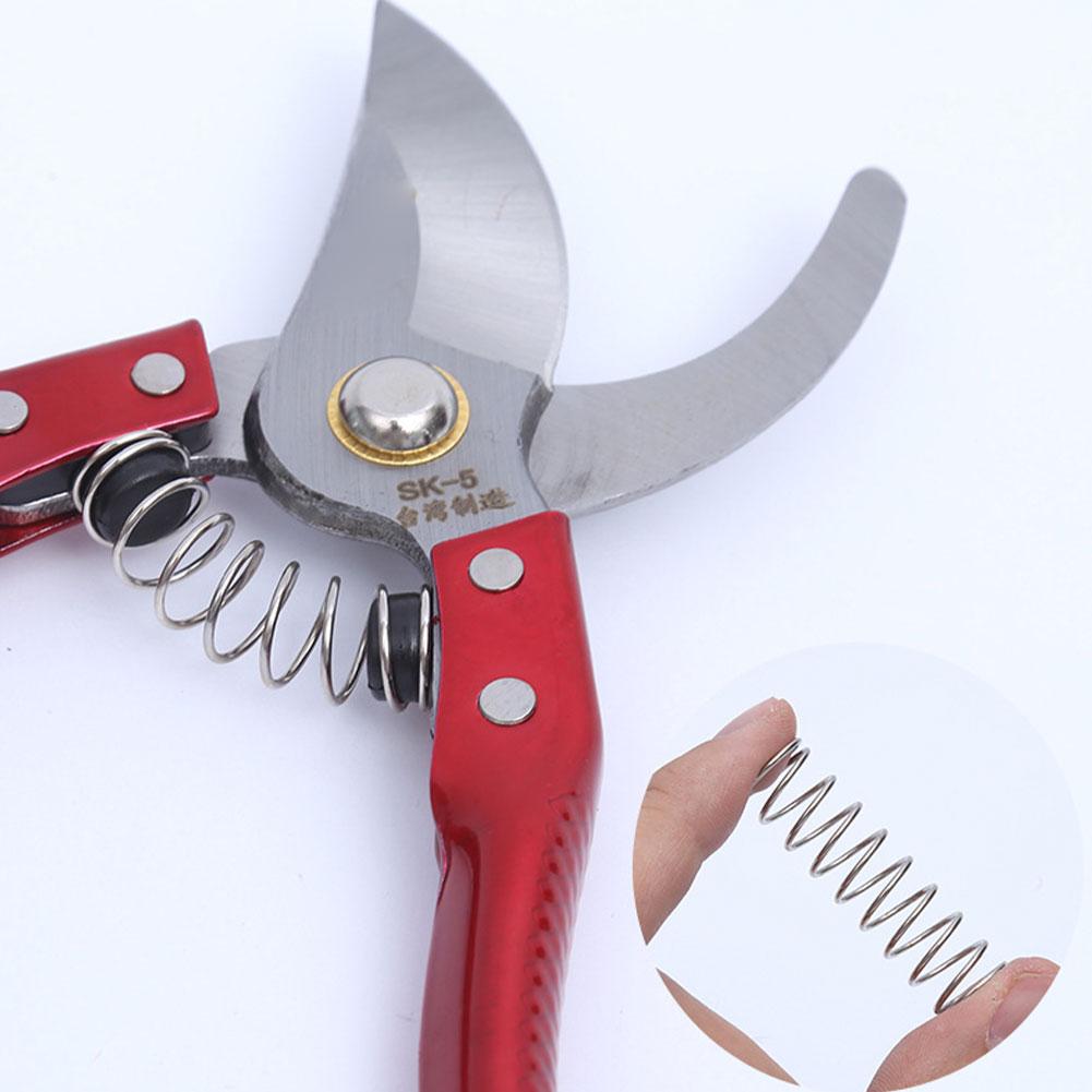 スプリング エッセンシャル交換用スプリング 園芸工具 剪定鋏 - Essential Gardening Tools のレビューと価格