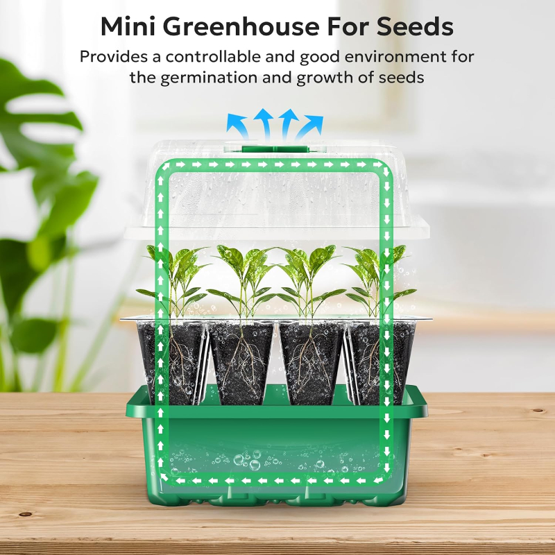 10 個の苗トレイ種子スターターキットミニプロパゲーター植物 - Propagation Tray Dome のレビューと価格