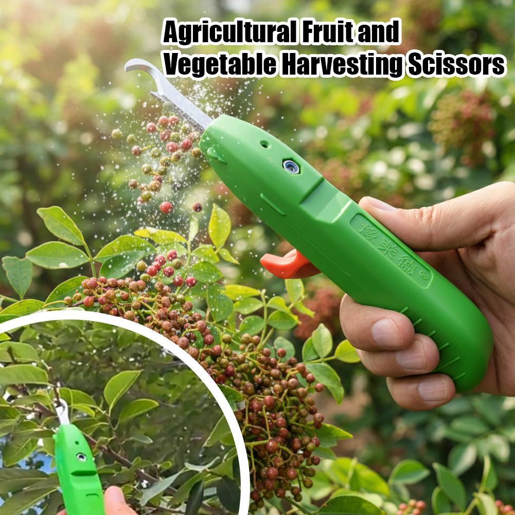 果物と野菜の収穫用剪定鋏、庭用剪定ばさみ、曲刃収穫ツール、ブ - Essential Gardening Tools のレビューと価格