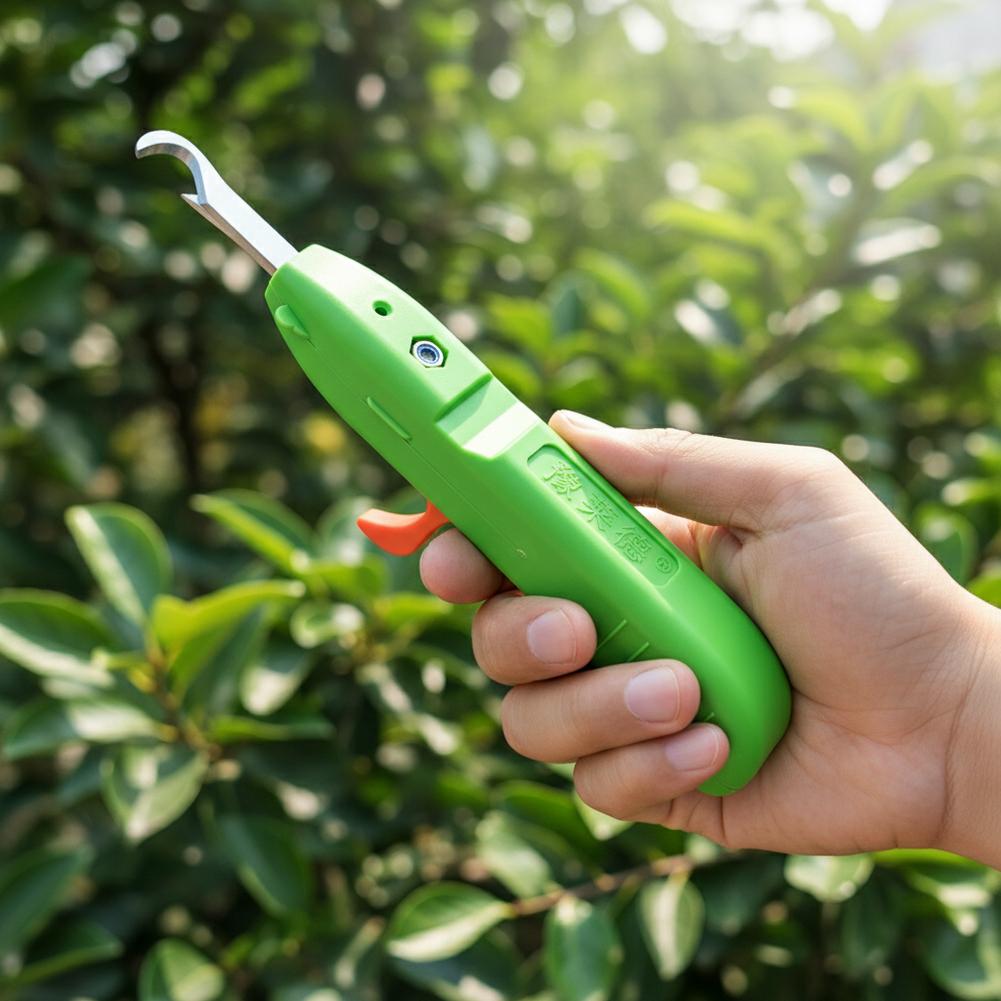 果物と野菜の収穫用剪定鋏、庭用剪定ばさみ、曲刃収穫ツール、ブ - Essential Gardening Tools のレビューと価格