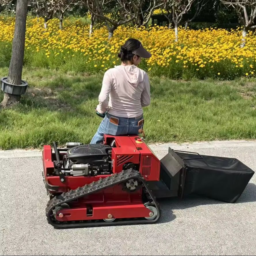 500mmブラシレス芝刈り機モーター4ストローク高効率150 - Gardening Tools Lawn Mower のレビューと価格