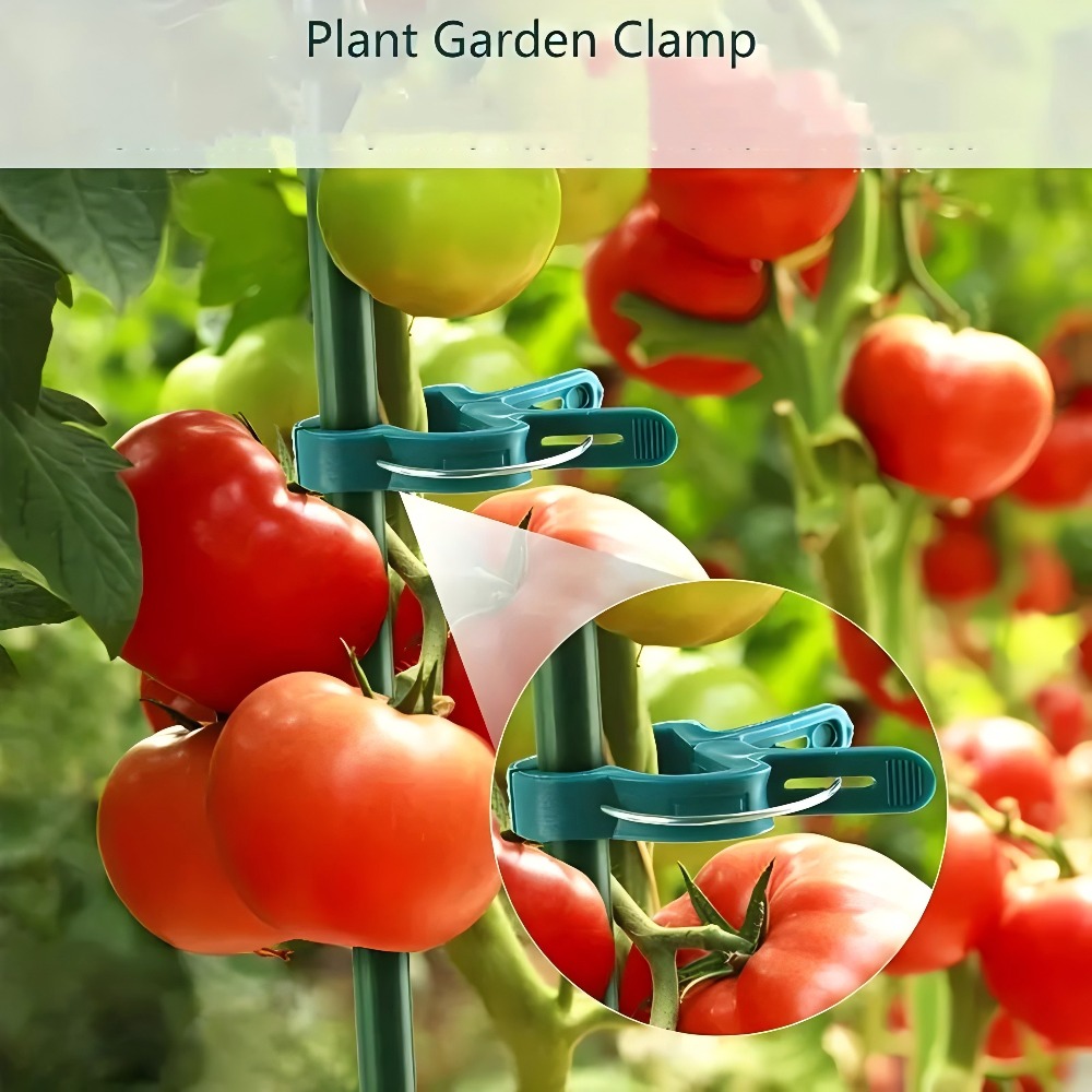 10/30/50個入り調整可能な植物クリップ - 花、蔓、野 - Essential Gardening Tools のレビューと価格