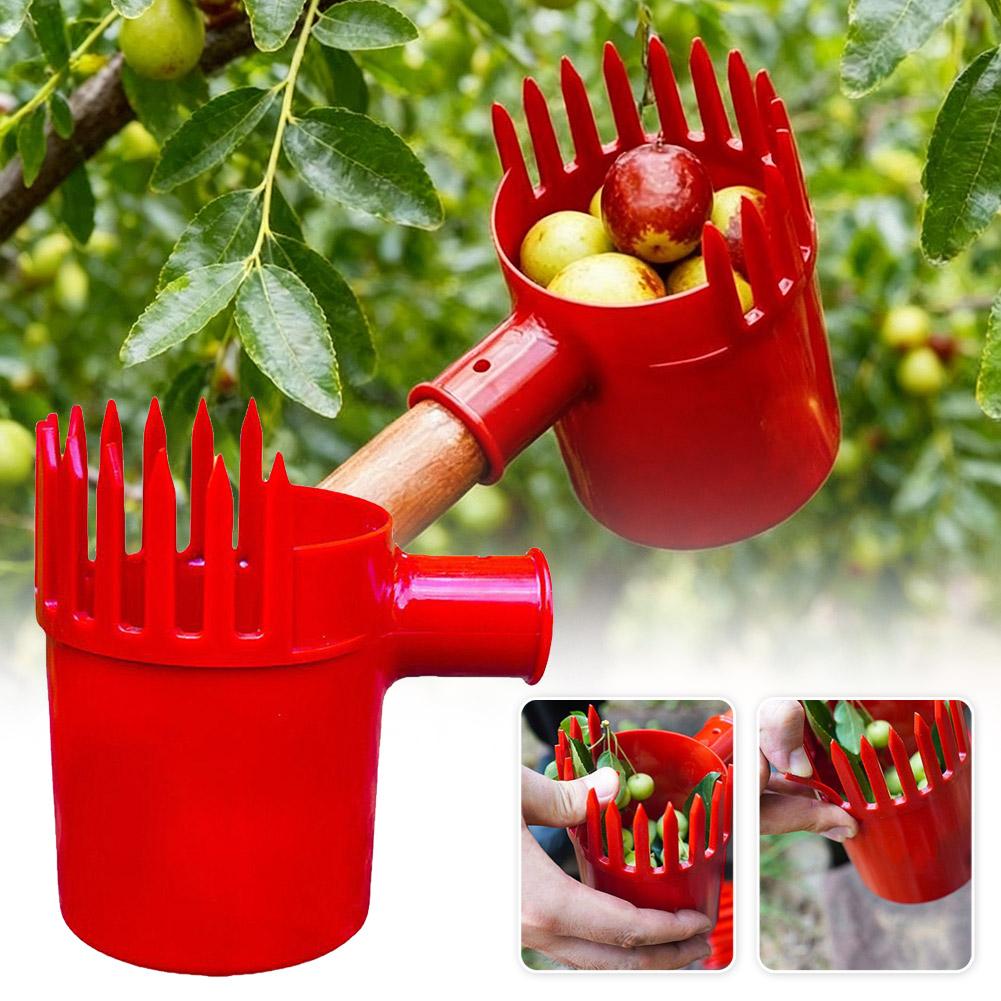 フルーツピッカーツールポータブルバスケットヘッド高木収穫機ア - Gardening Yard Tools のレビューと価格