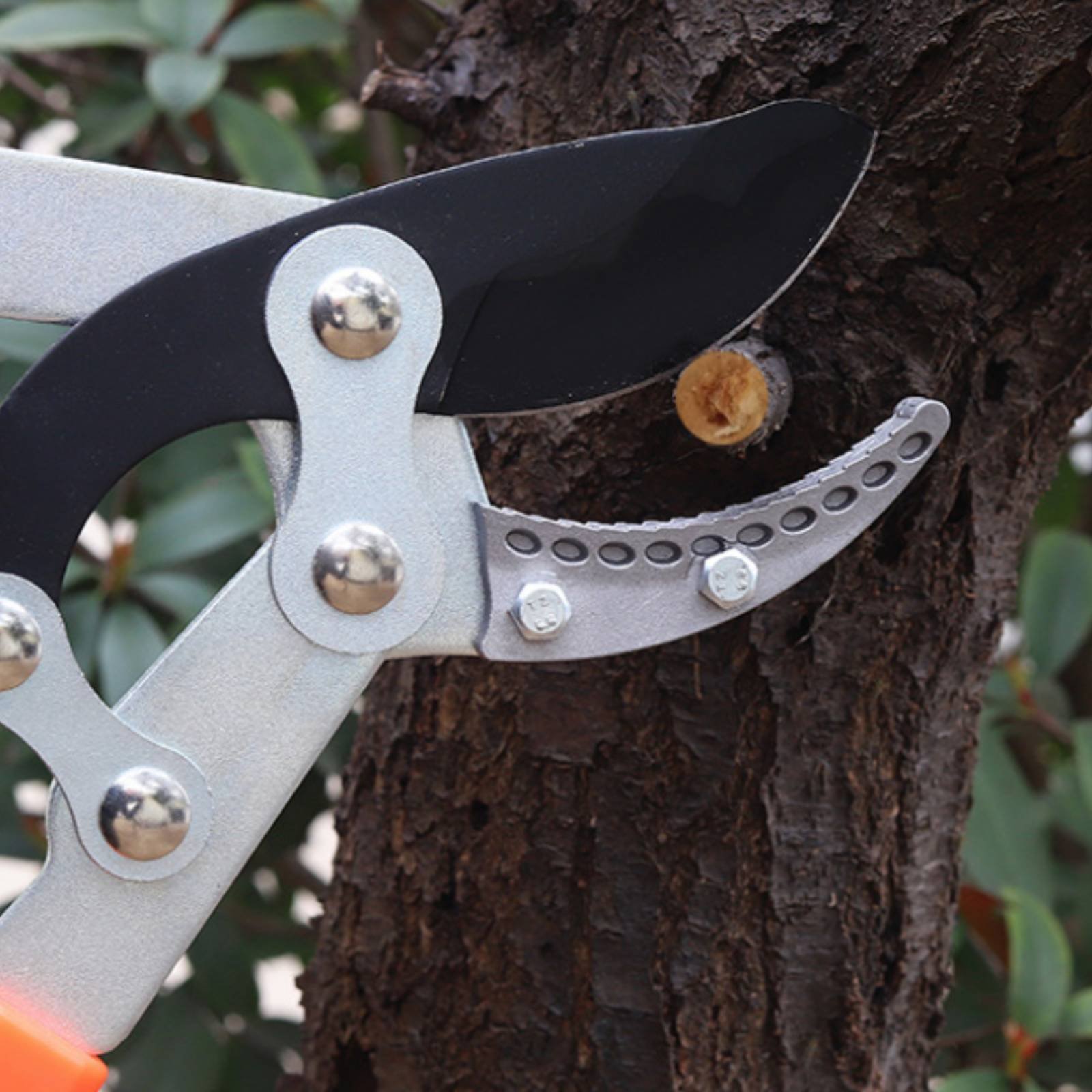 伸縮式枝切り鋏 シャープブレード 頑丈な木剪定鋏 剪定鋏 快 - Gardening Tools のレビューと価格