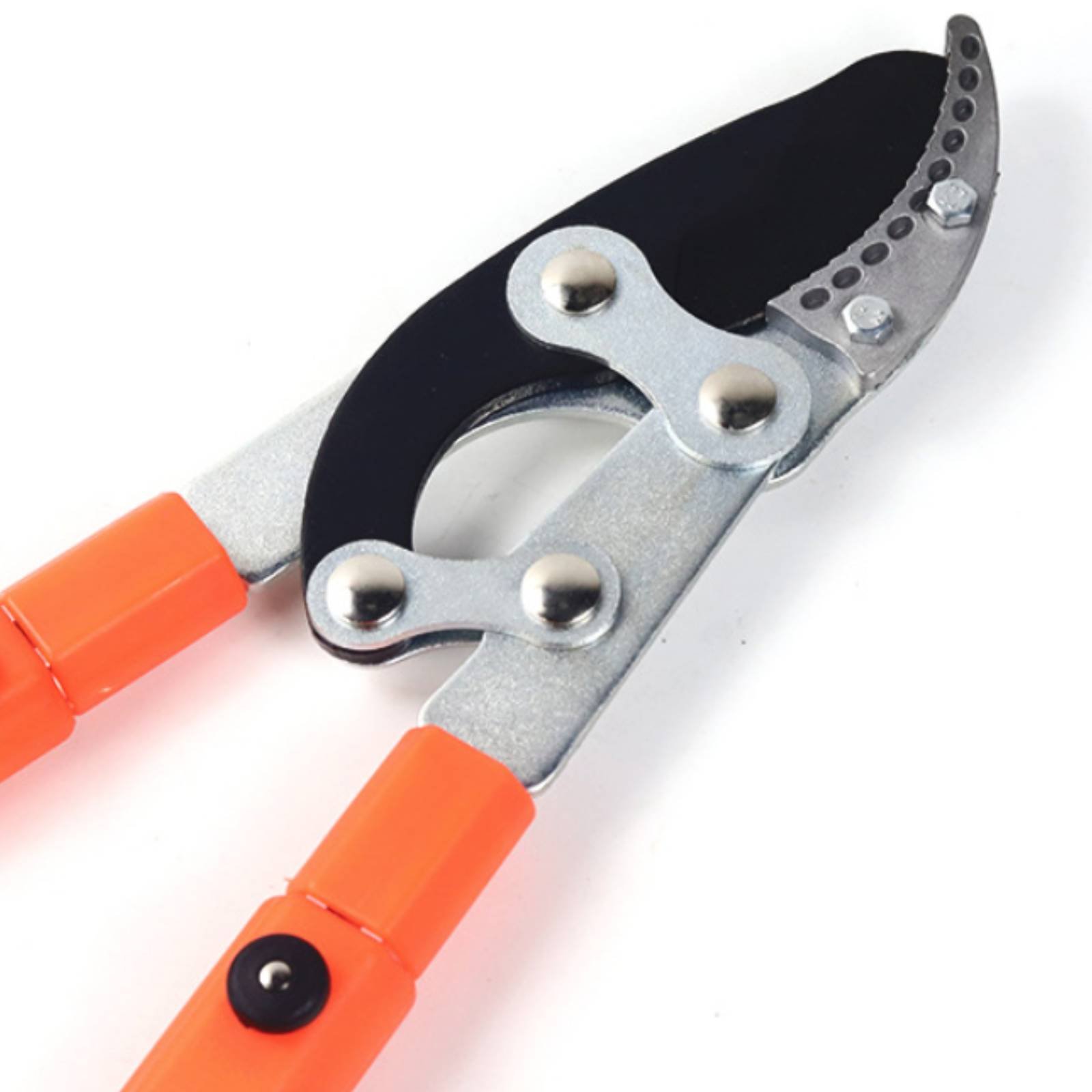 伸縮式枝切り鋏 シャープブレード 頑丈な木剪定鋏 剪定鋏 快 - Gardening Tools のレビューと価格