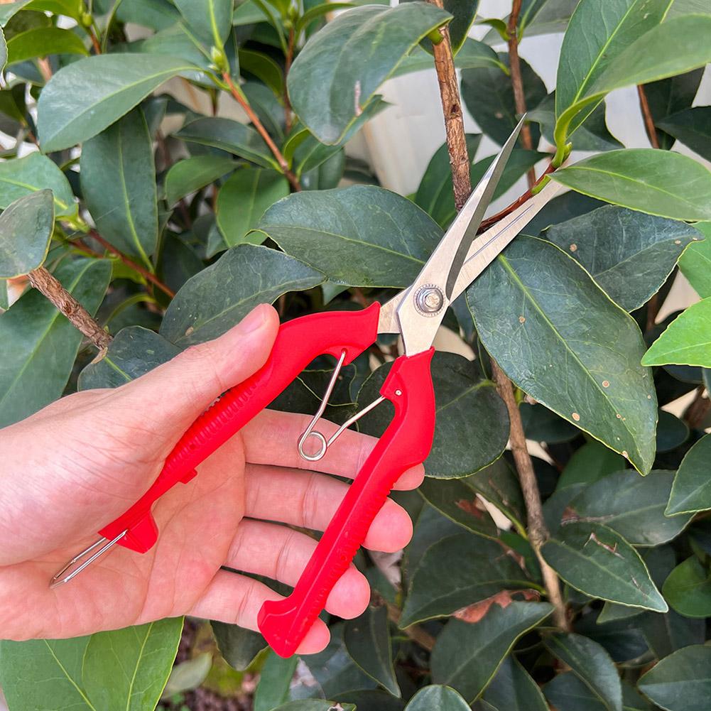 プロガーデン剪定鋏 延長型木花鋏 手動盆栽鋏 剪定鋏 スタン - Essential Gardening Tools のレビューと価格