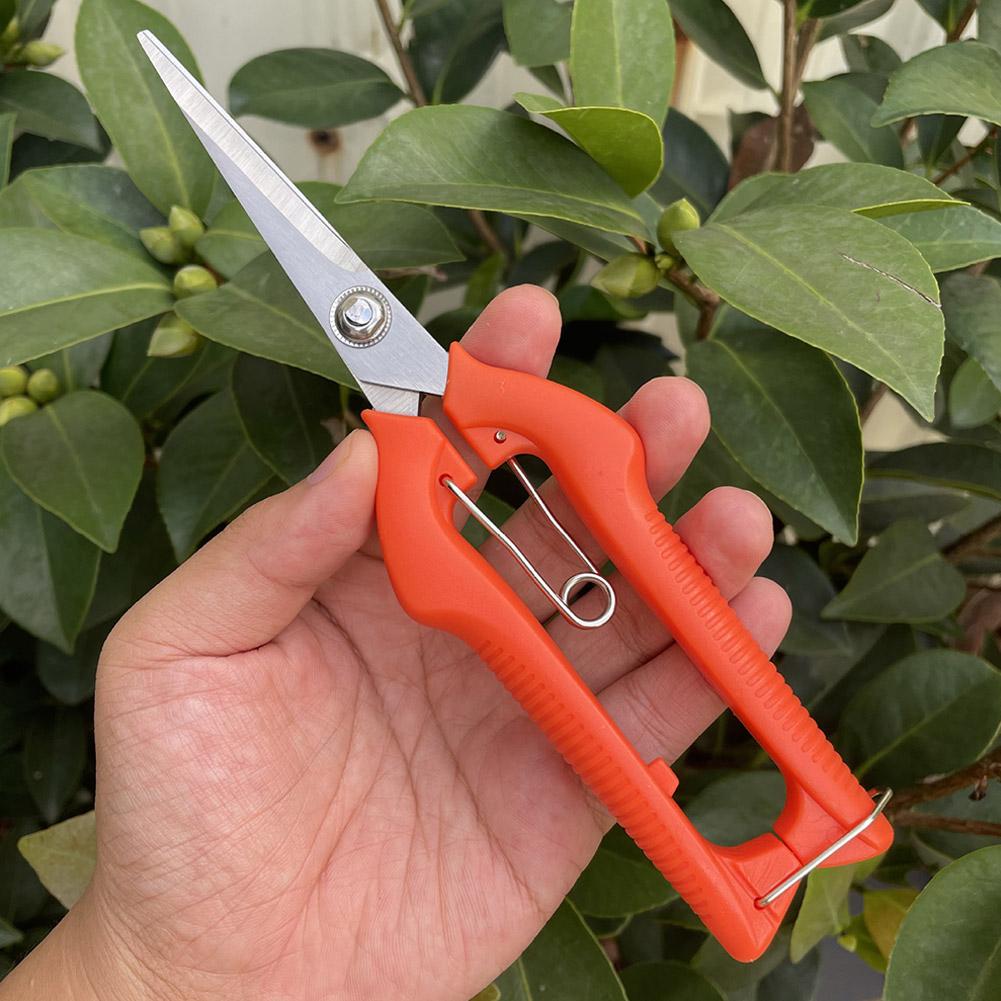 プロガーデン剪定鋏 延長型木花鋏 手動盆栽鋏 剪定鋏 スタン - Essential Gardening Tools のレビューと価格
