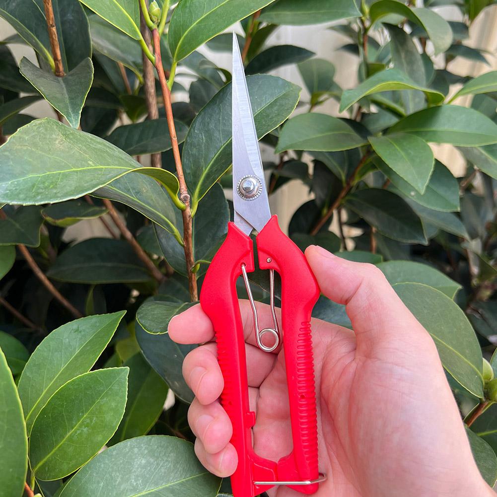 プロガーデン剪定鋏 延長型木花鋏 手動盆栽鋏 剪定鋏 スタン - Essential Gardening Tools のレビューと価格